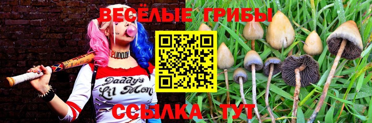 купить закладку  Галлюциногенные грибы прущие грибы  Вход с VPN  Узловая  Галлюциногенные грибы Psilocybe 